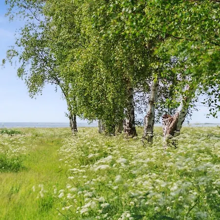 Sys - 150m From The Sea By Interhome 度假居